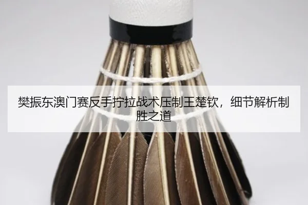 fan-zhen-dong-ao-men-sai-fan-shou-ning-la-zhan-shu-ya-zhi-wang-chu-qin-xi-jie-jie-xi-zhi-sheng-zhi-dao-3-248.jpg