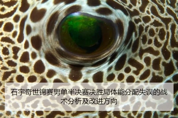 shi-yu-qi-shi-jin-sai-nan-dan-ban-jue-sai-jue-sheng-ju-ti-neng-fen-pei-shi-wu-de-zhan-shu-fen-xi-ji-gai-jin-fang-xiang-3-722.jpg