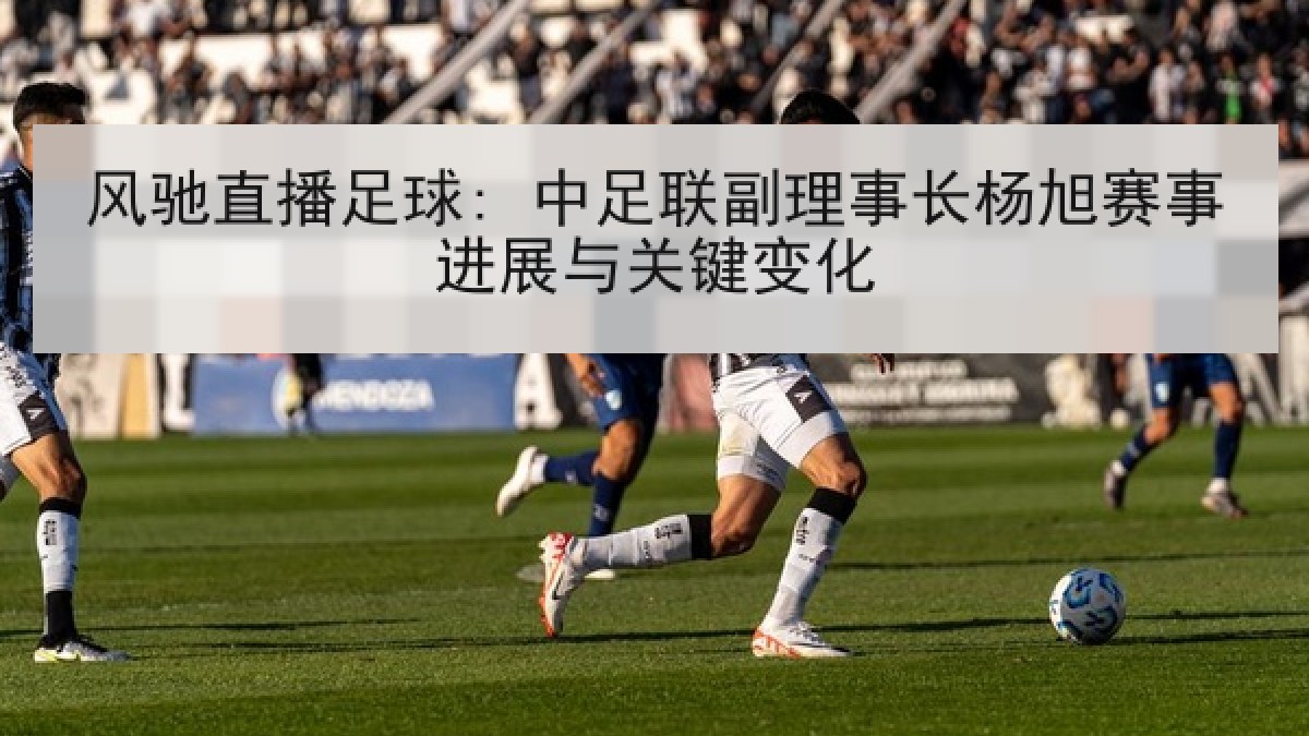风驰直播足球: 中足联副理事长杨旭赛事进展与关键变化
