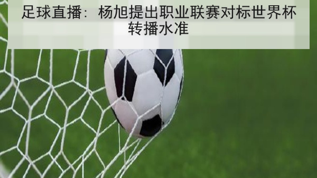 足球直播: 杨旭提出职业联赛对标世界杯转播水准 足球直播: 杨旭提出职业联赛对标世界杯转播水准